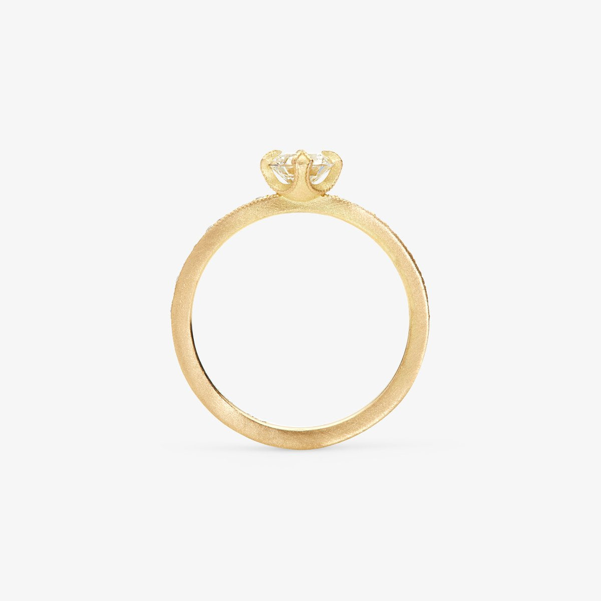 18K Yellow Gold -2