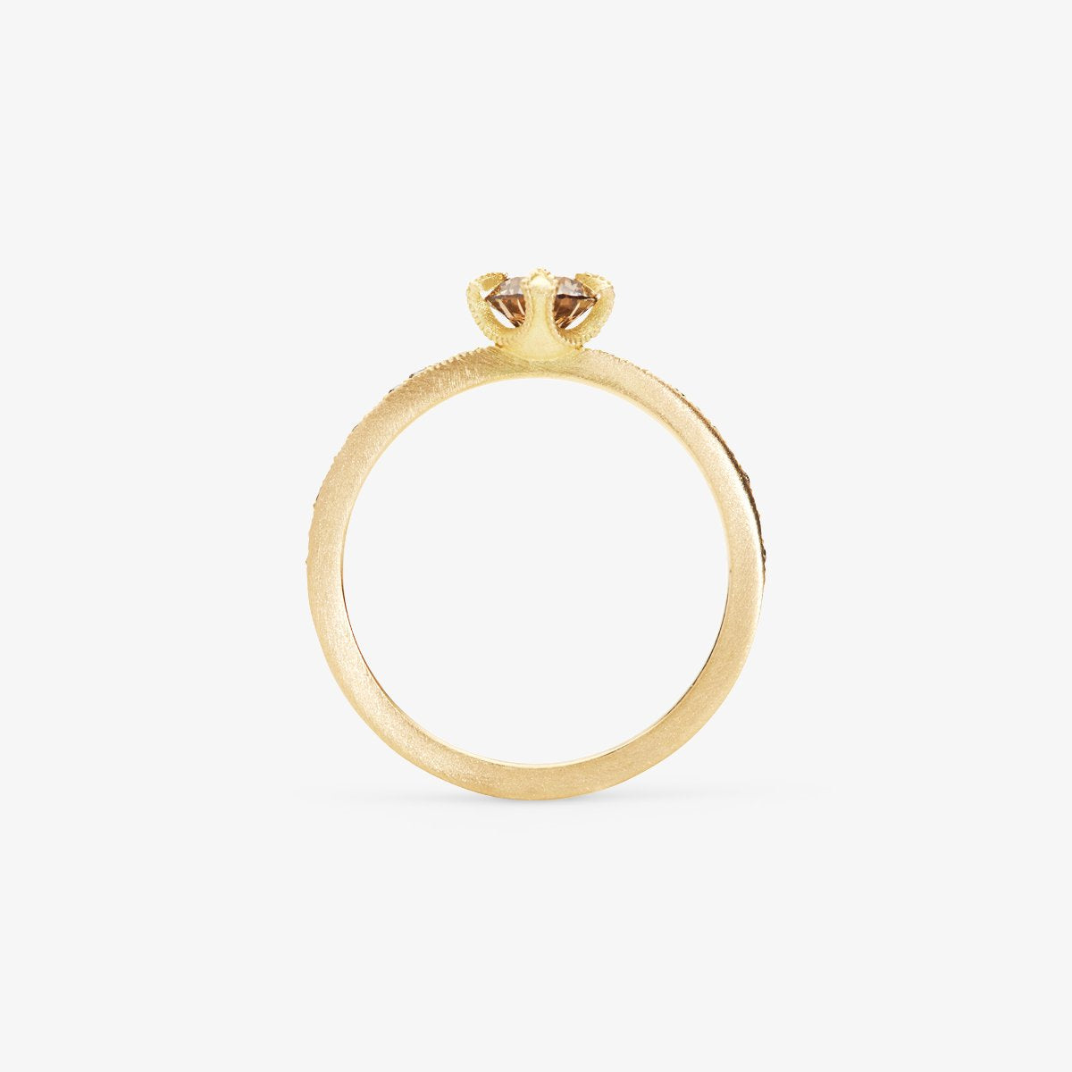 18K Yellow Gold -2